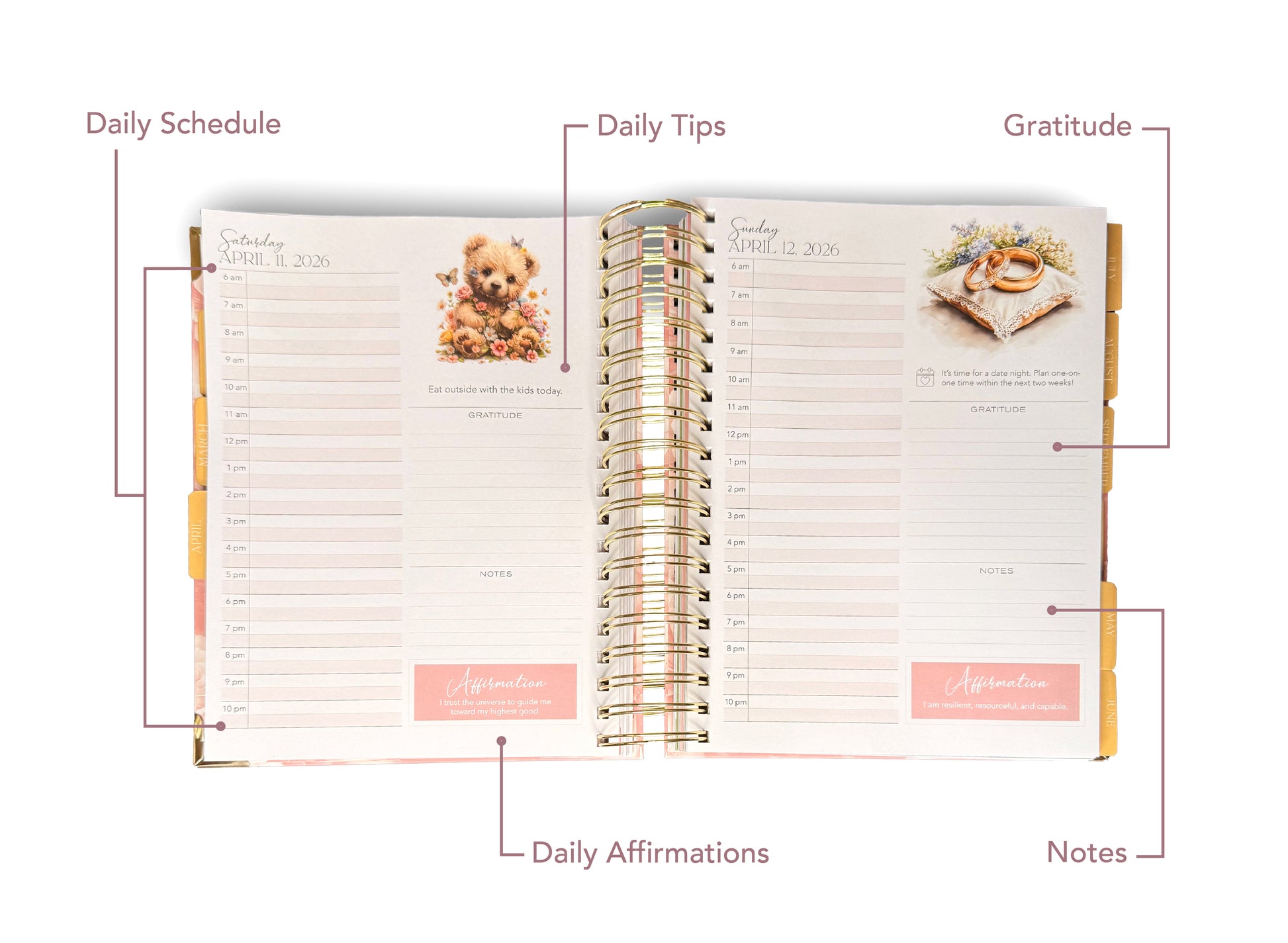 Open planner with sections labeled Daily Schedule, Daily Tips, Gratitude, Daily Affirmations, and Notes.